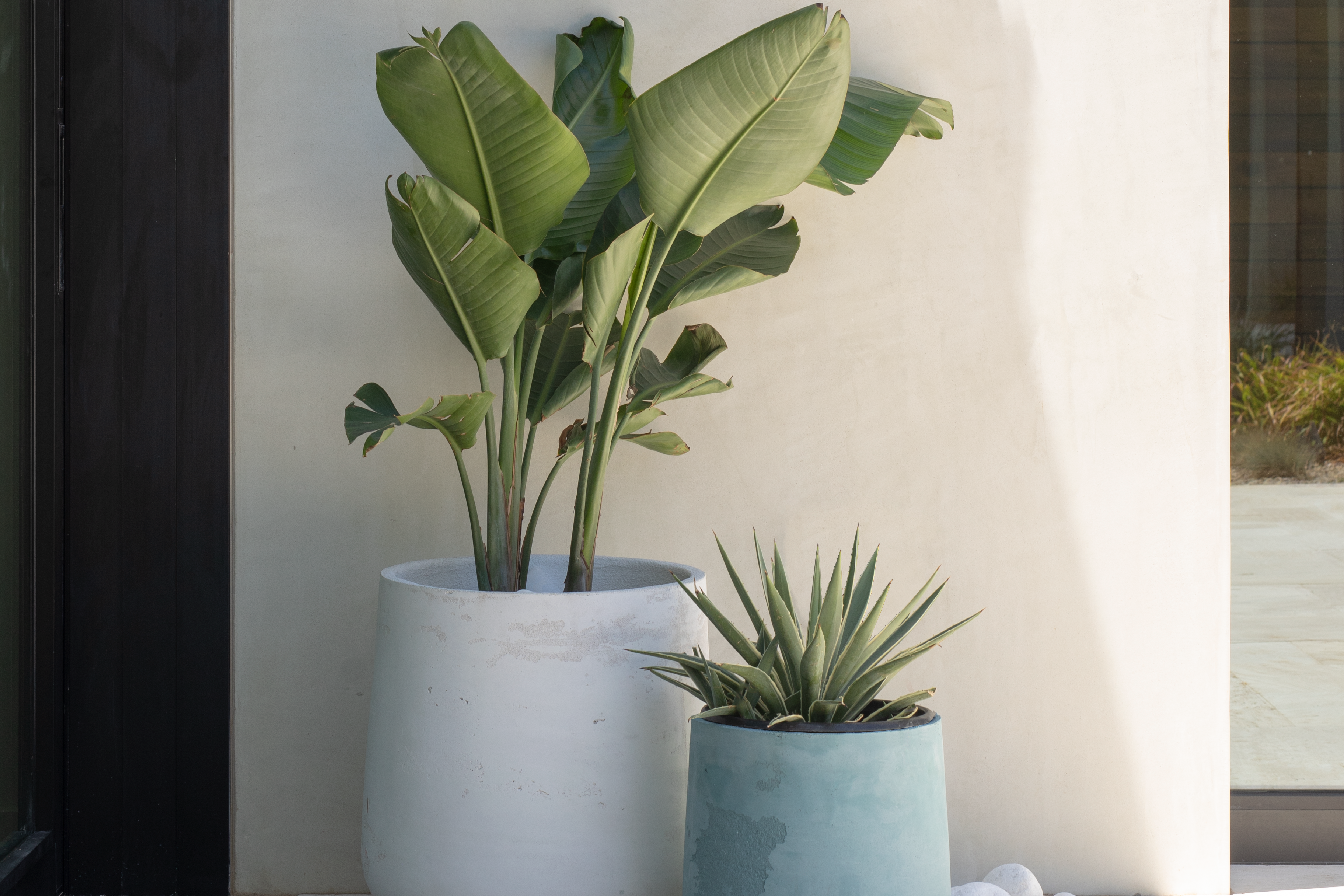 Small & Medium Planters