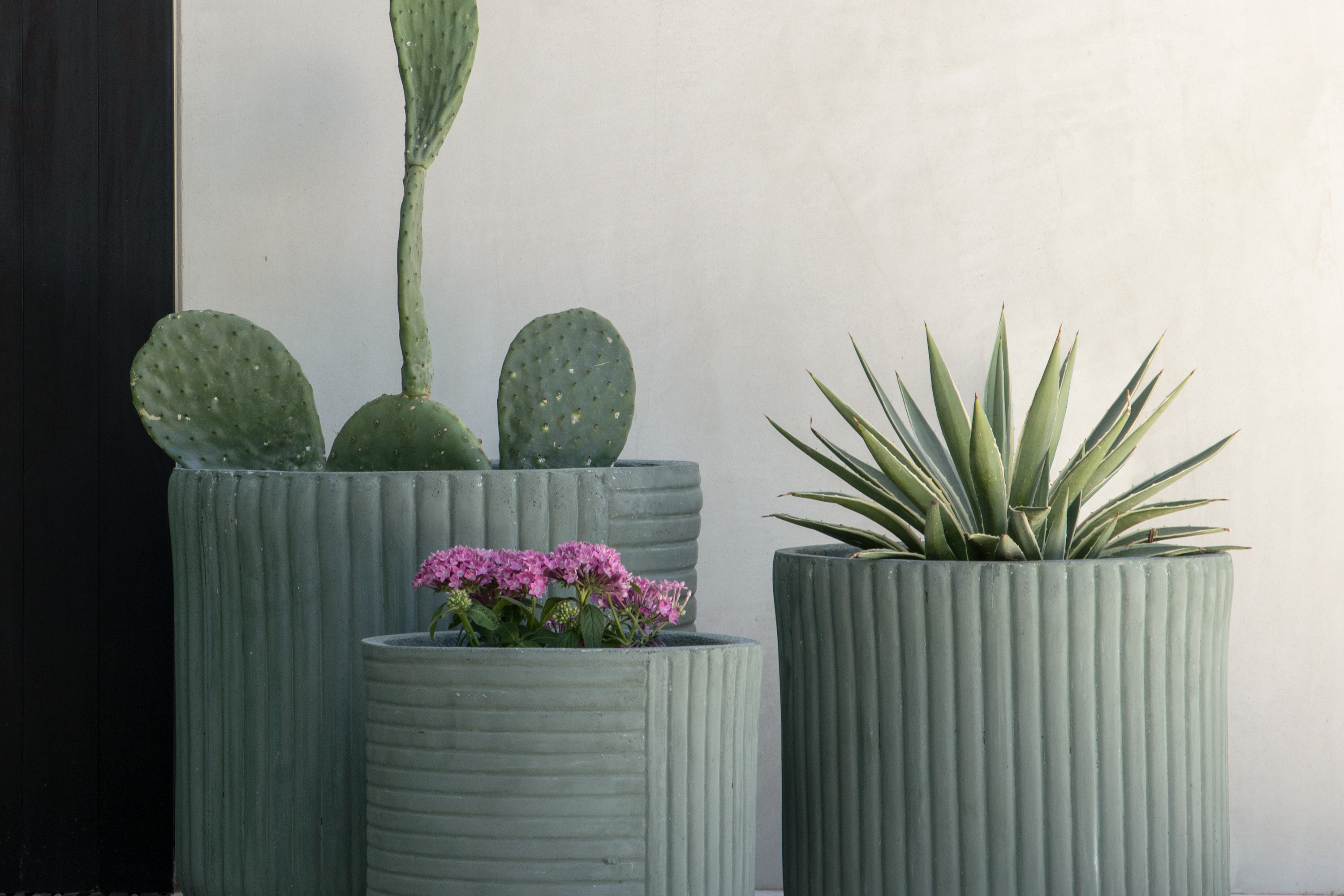 Planters