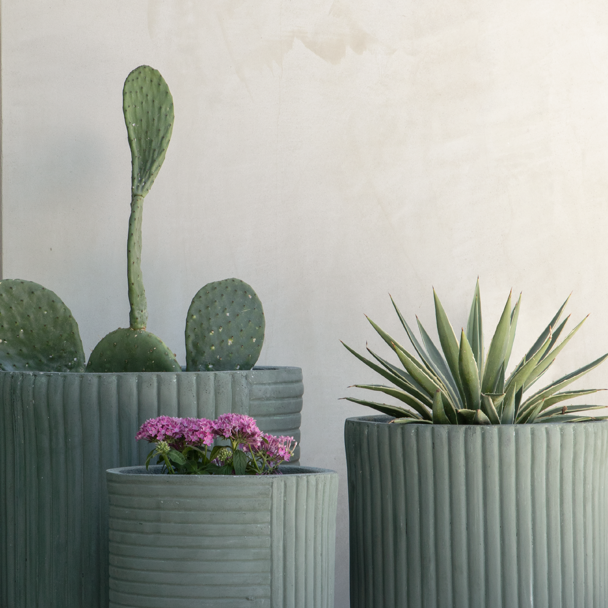 Planters