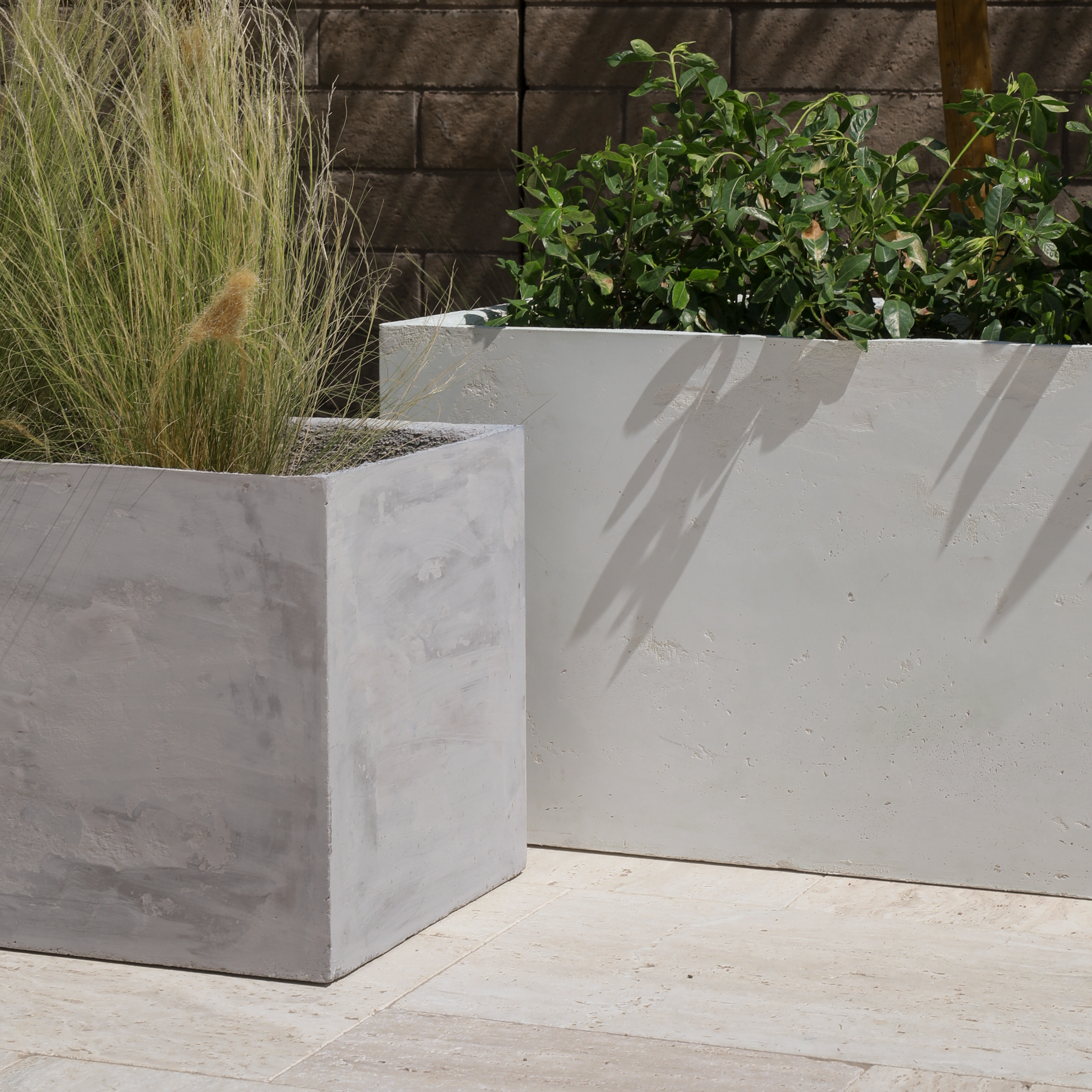Sequoia -