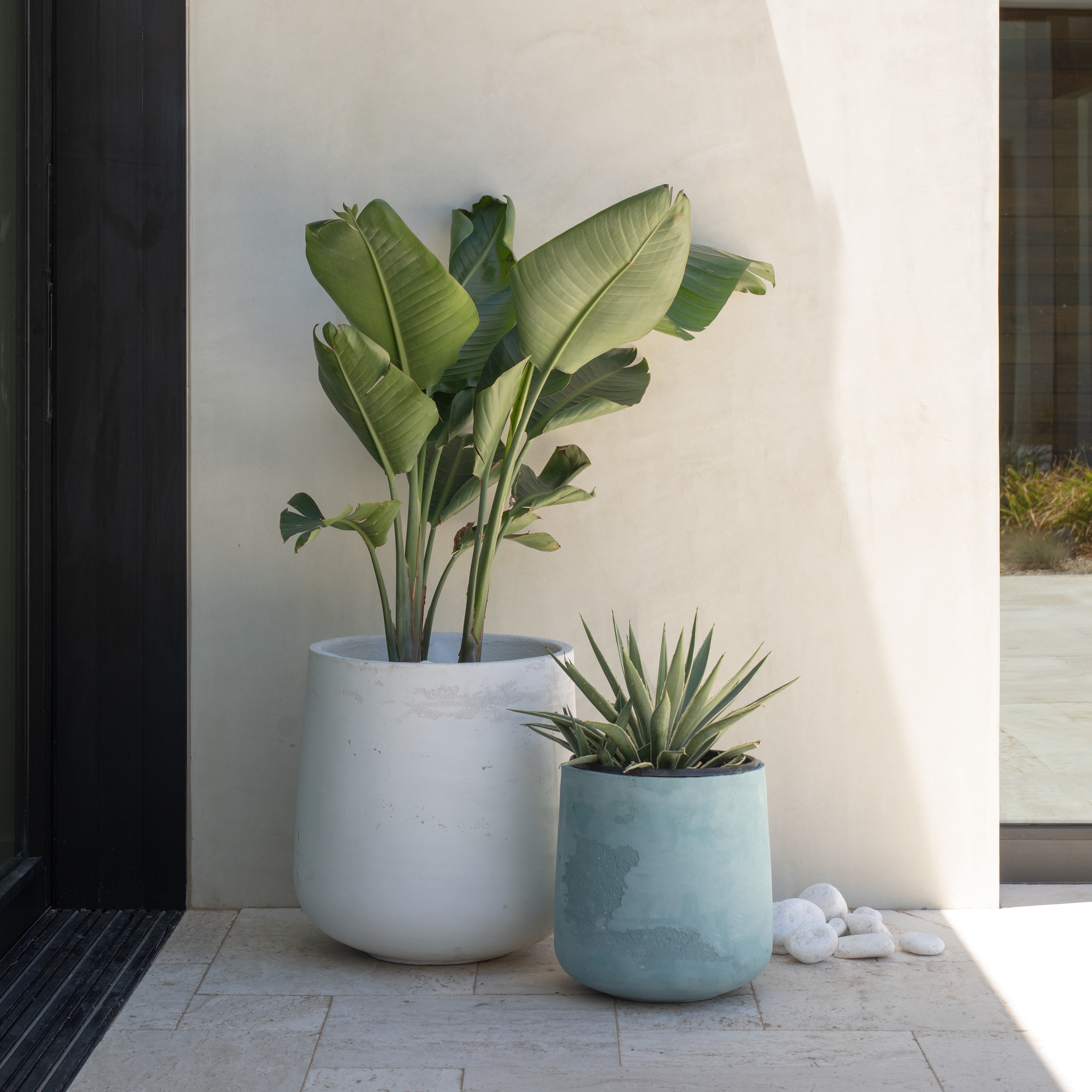 Small & Medium Planters
